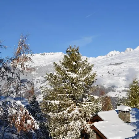 Fabulous - In-ski Out - Sauna With Mont Blanc View * La Plagne-Tarentaise